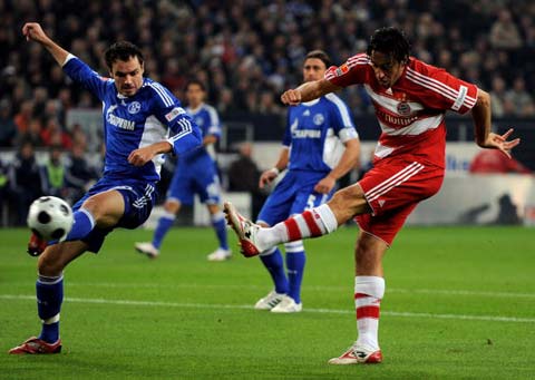 这些实例证 这些实例证